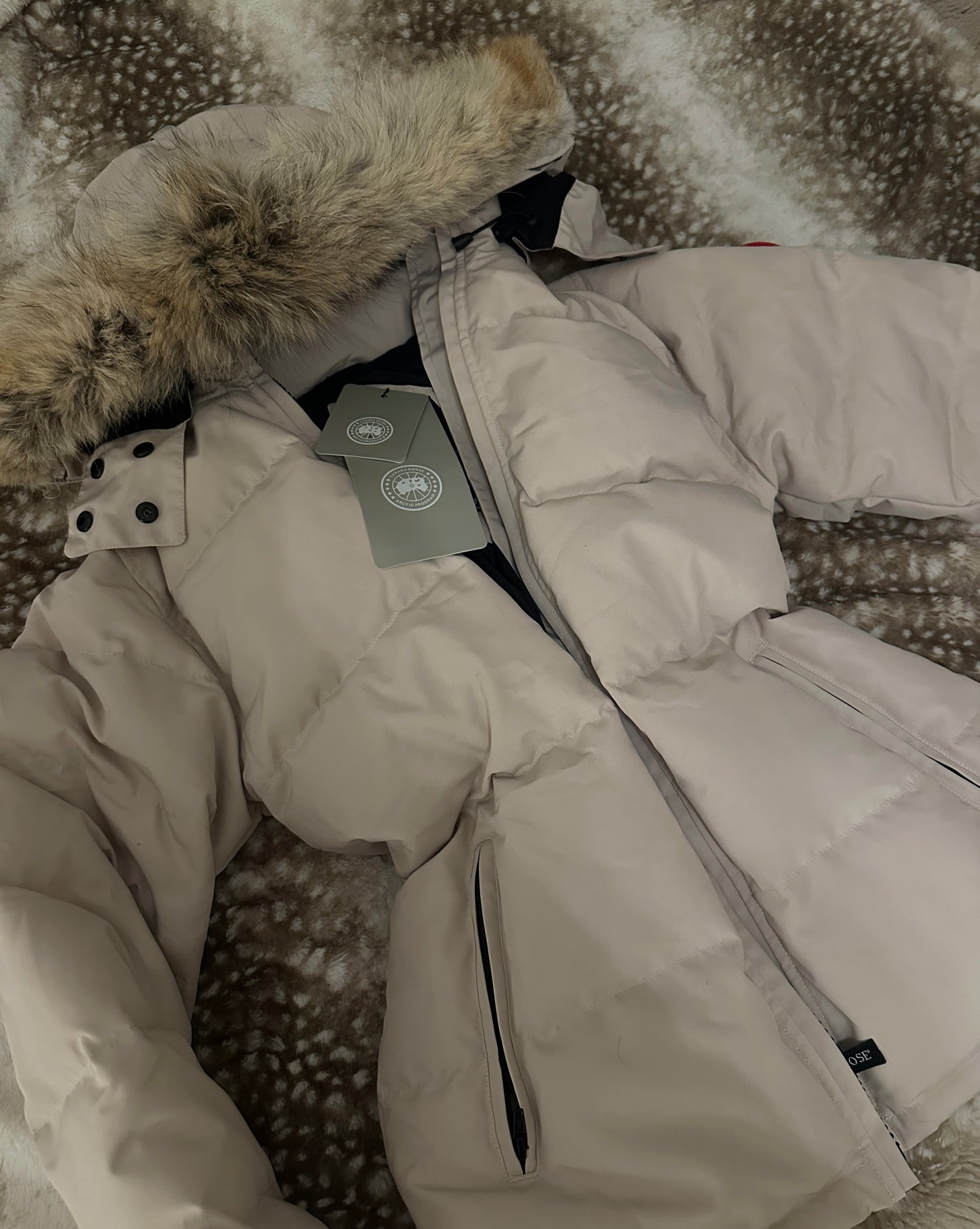Women's CG Chelsea Parka Coat