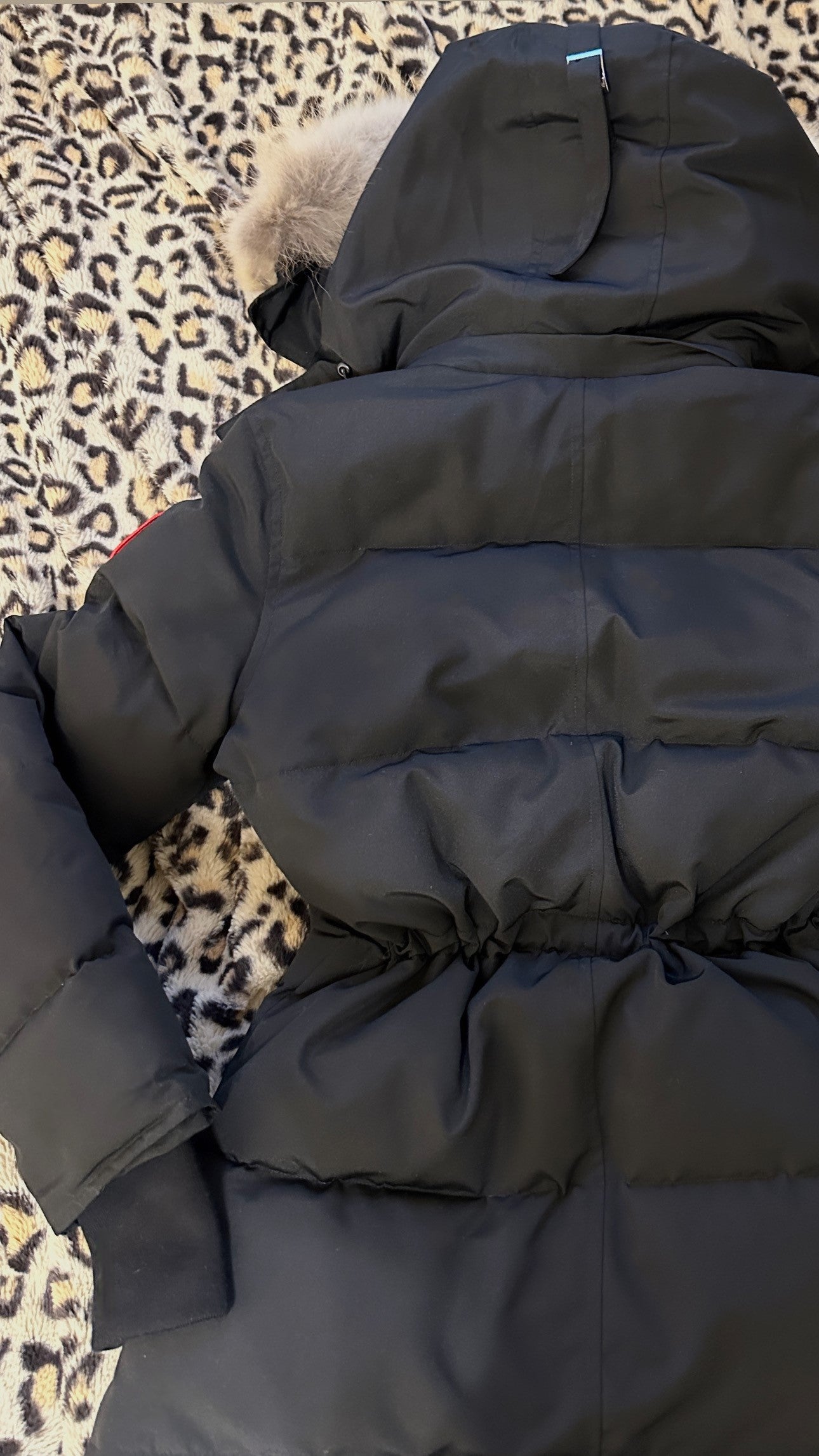 Women's CG Chelsea Parka Coat