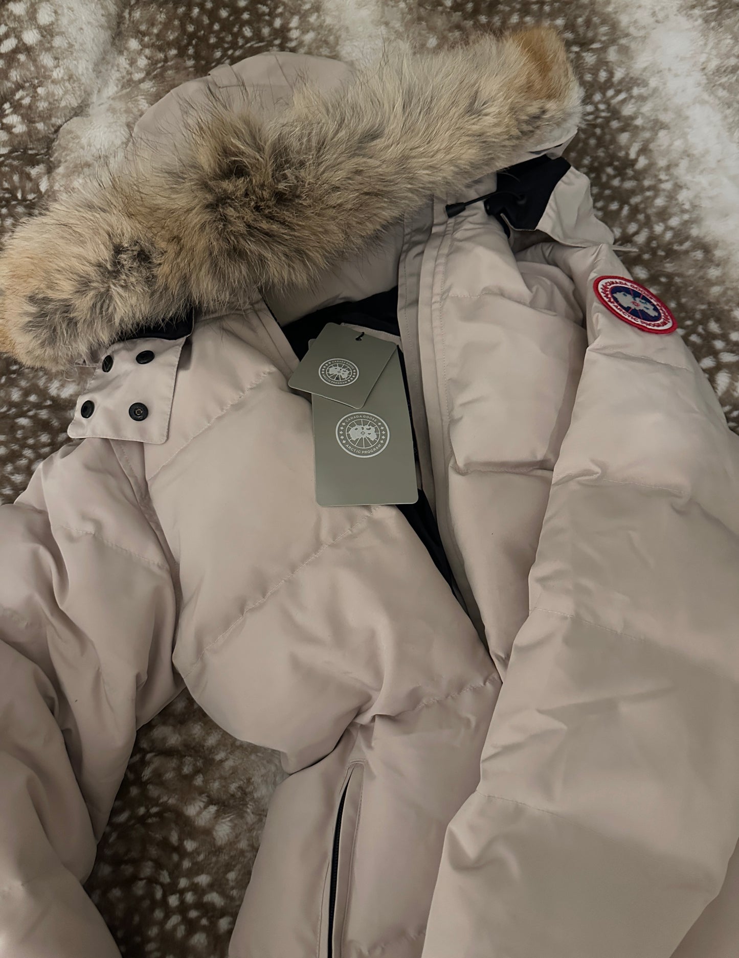 Women's CG Chelsea Parka Coat